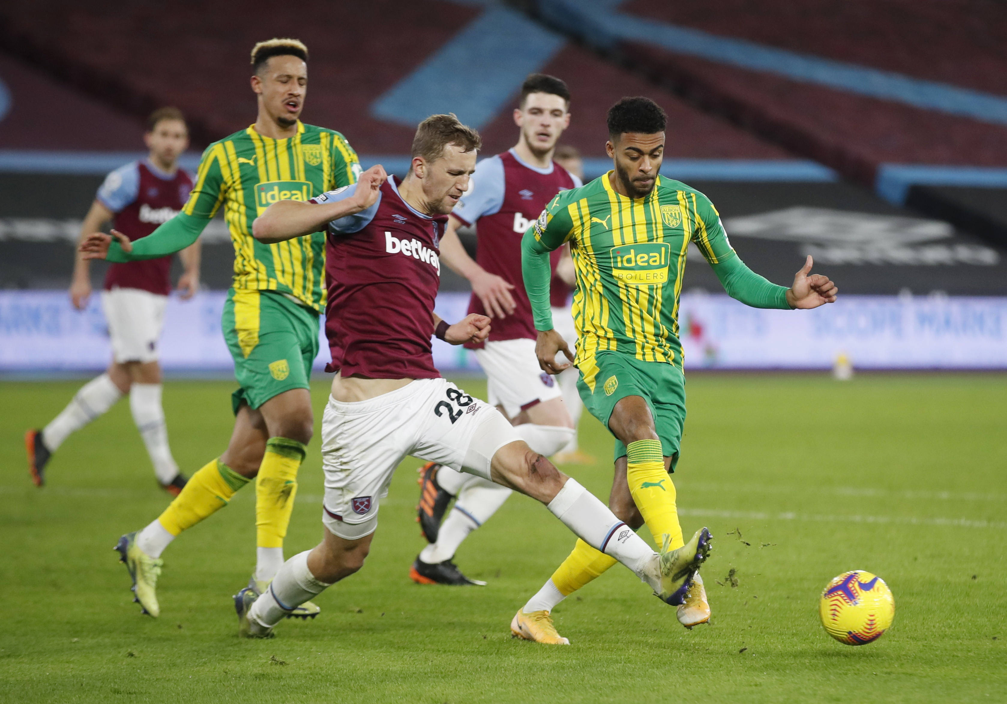 而作為灰熊 而作為灰熊